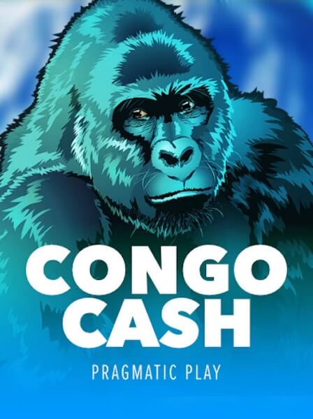 Satoshi Casino vs Traditional Casinos: Which is Better?