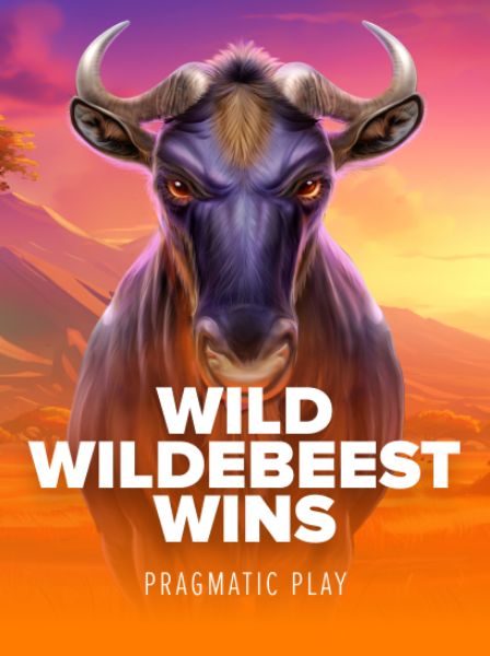 VivaLive Casino Promotions: How to Maximize Your Winnings